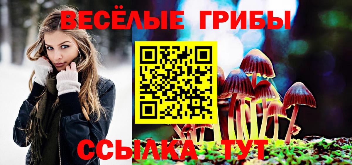 Галлюциногенные грибы прущие грибы  Вход с VPN  Гуково 